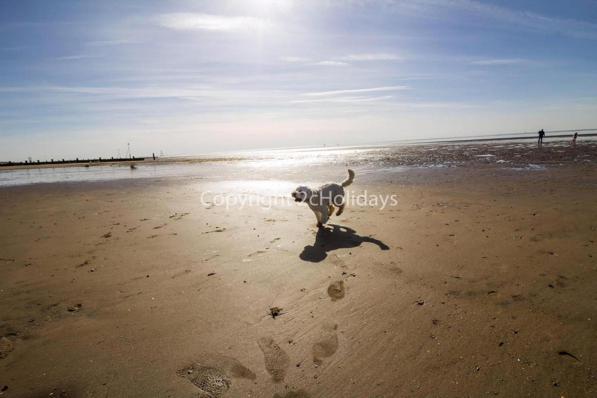 6 Berth Dog Friendly Caravan In Hunstanton, Minutes From The Beach Ref 13013L Eksteriør billede